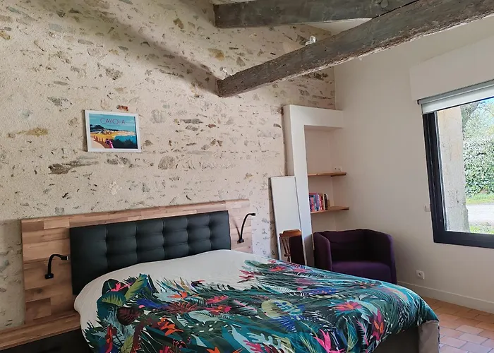 Grange De Charme Avec Piscine Et Jardin, Ideale Pour Vos Aux Sables-d'olonne Villa *